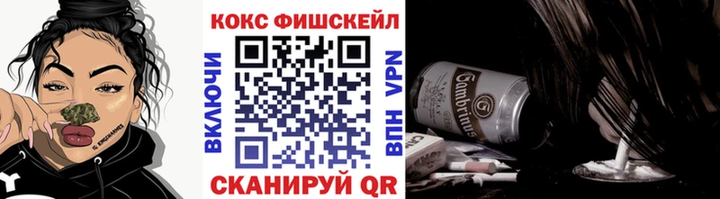 Cocaine Fish Scale наркошоп MEGA сайт Лермонтов