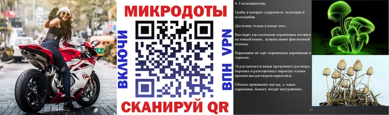 купить закладку Лермонтов Псилоцибиновые грибы ЛСД